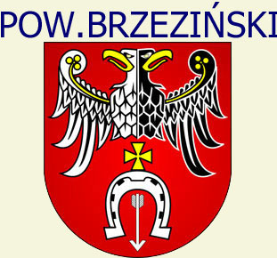 Powiat Brzeziski
