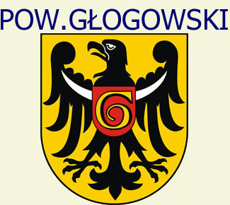 Powiat Gogowski