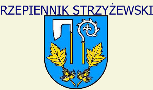 powrt do strony kapliczki w gminie rzepiennik strzyewski