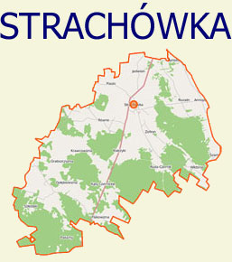Stachwka